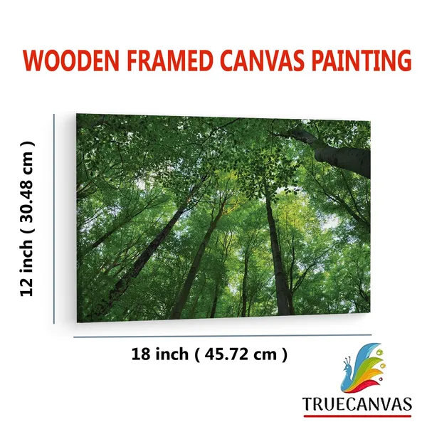 Multicolor_Abstract,_Wooden_Framed_Canvas_Paintings_|_For_Living_Room_|_Bedroom_|_Office_|_Gallery_|_Ready_Wall_Mount_Canvas_Wall_Art_Painting_|_Size_-_12_X_18In,_Ct0844