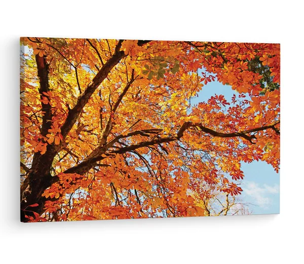 Multicolor_Abstract,_Wooden_Framed_Canvas_Paintings_|_For_Living_Room_|_Bedroom_|_Office_|_Gallery_|_Ready_Wall_Mount_Canvas_Wall_Art_Painting_|_Size_-_12_X_18In,_Ct0846