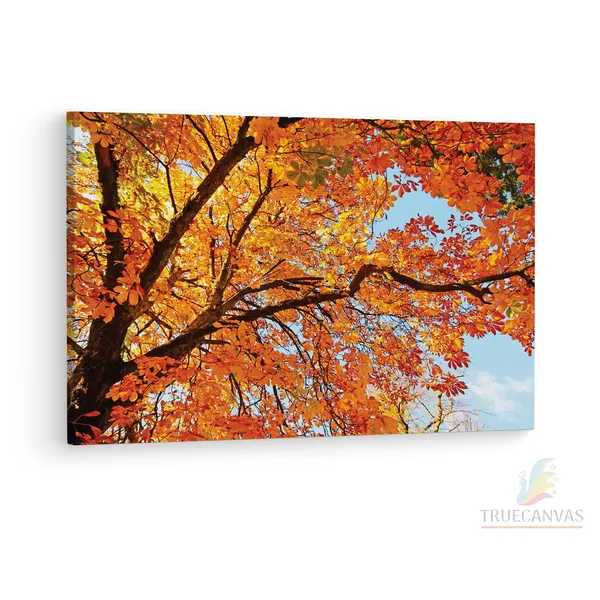 Multicolor_Abstract,_Wooden_Framed_Canvas_Paintings_|_For_Living_Room_|_Bedroom_|_Office_|_Gallery_|_Ready_Wall_Mount_Canvas_Wall_Art_Painting_|_Size_-_12_X_18In,_Ct0846