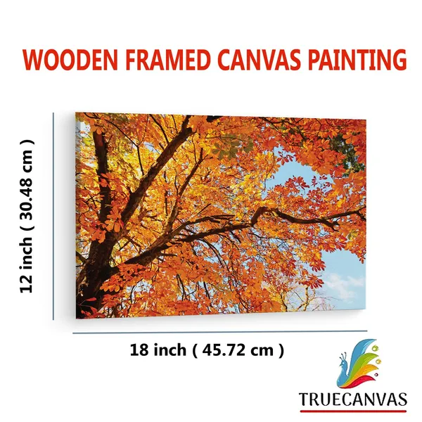 Multicolor_Abstract,_Wooden_Framed_Canvas_Paintings_|_For_Living_Room_|_Bedroom_|_Office_|_Gallery_|_Ready_Wall_Mount_Canvas_Wall_Art_Painting_|_Size_-_12_X_18In,_Ct0846
