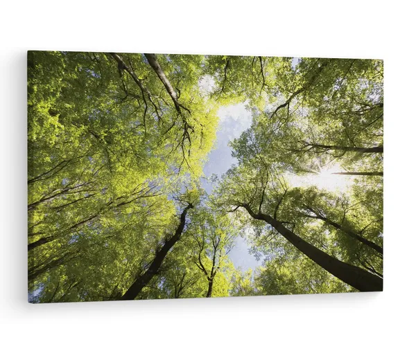 Multicolor_The_Best_|_Forests_In_The_Uk,_Wooden_Framed_Canvas_Paintings_|_For_Living_Room_|_Bedroom_|_Office_|_Gallery_|_Ready_Wall_Mount_Canvas_Wall_Art_Painting_|_Size_-_12_X_18In,_Ct0847