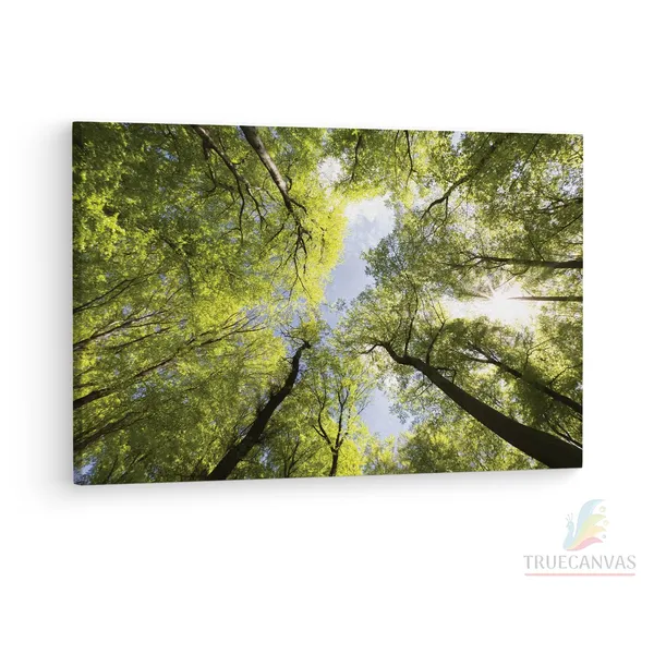 Multicolor_The_Best_|_Forests_In_The_Uk,_Wooden_Framed_Canvas_Paintings_|_For_Living_Room_|_Bedroom_|_Office_|_Gallery_|_Ready_Wall_Mount_Canvas_Wall_Art_Painting_|_Size_-_12_X_18In,_Ct0847