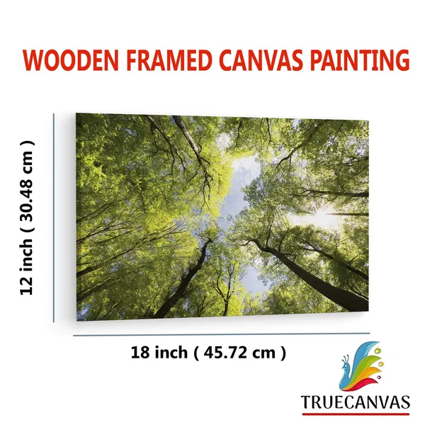 Multicolor_The_Best_|_Forests_In_The_Uk,_Wooden_Framed_Canvas_Paintings_|_For_Living_Room_|_Bedroom_|_Office_|_Gallery_|_Ready_Wall_Mount_Canvas_Wall_Art_Painting_|_Size_-_12_X_18In,_Ct0847