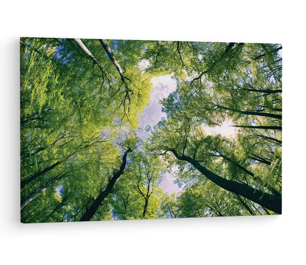 Multicolor_Abstract,_Wooden_Framed_Canvas_Paintings_|_For_Living_Room_|_Bedroom_|_Office_|_Gallery_|_Ready_Wall_Mount_Canvas_Wall_Art_Painting_|_Size_-_12_X_18In,_Ct0848