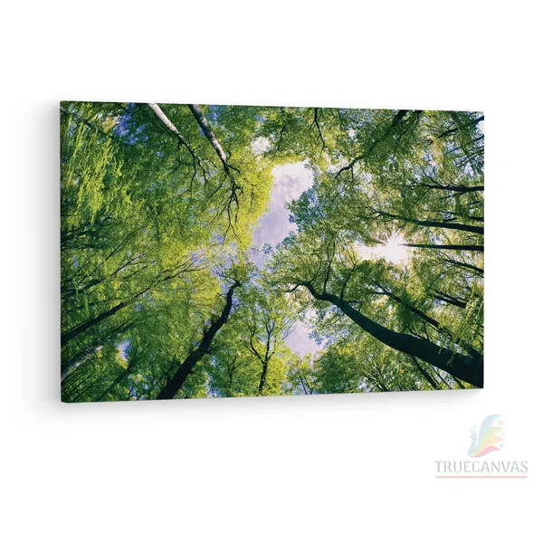 Multicolor_Abstract,_Wooden_Framed_Canvas_Paintings_|_For_Living_Room_|_Bedroom_|_Office_|_Gallery_|_Ready_Wall_Mount_Canvas_Wall_Art_Painting_|_Size_-_12_X_18In,_Ct0848