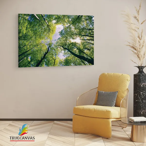 Multicolor_Abstract,_Wooden_Framed_Canvas_Paintings_|_For_Living_Room_|_Bedroom_|_Office_|_Gallery_|_Ready_Wall_Mount_Canvas_Wall_Art_Painting_|_Size_-_12_X_18In,_Ct0848