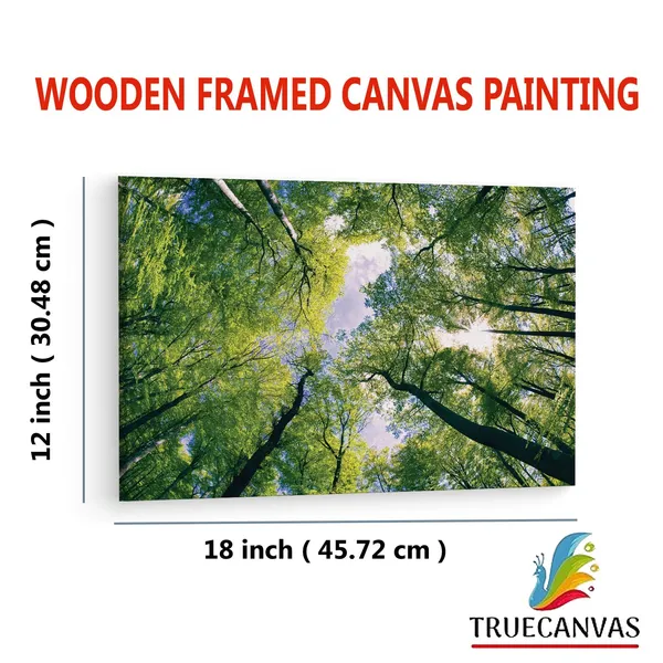 Multicolor_Abstract,_Wooden_Framed_Canvas_Paintings_|_For_Living_Room_|_Bedroom_|_Office_|_Gallery_|_Ready_Wall_Mount_Canvas_Wall_Art_Painting_|_Size_-_12_X_18In,_Ct0848
