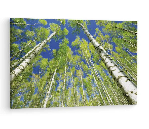Multicolor_Abstract,_Wooden_Framed_Canvas_Paintings_|_For_Living_Room_|_Bedroom_|_Office_|_Gallery_|_Ready_Wall_Mount_Canvas_Wall_Art_Painting_|_Size_-_12_X_18In,_Ct0849