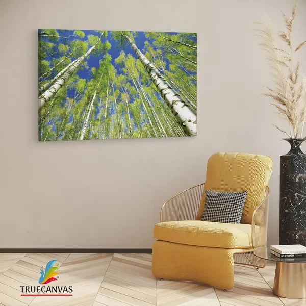Multicolor_Abstract,_Wooden_Framed_Canvas_Paintings_|_For_Living_Room_|_Bedroom_|_Office_|_Gallery_|_Ready_Wall_Mount_Canvas_Wall_Art_Painting_|_Size_-_12_X_18In,_Ct0849