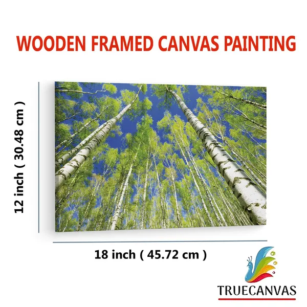 Multicolor_Abstract,_Wooden_Framed_Canvas_Paintings_|_For_Living_Room_|_Bedroom_|_Office_|_Gallery_|_Ready_Wall_Mount_Canvas_Wall_Art_Painting_|_Size_-_12_X_18In,_Ct0849