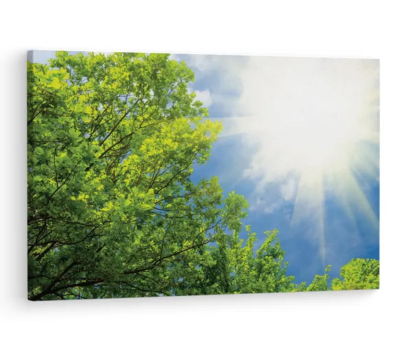 Multicolor_Spring_Green_Trees_And_Sunshine,_Wooden_Framed_Canvas_Paintings_|_For_Living_Room_|_Bedroom_|_Office_|_Gallery_|_Ready_Wall_Mount_Canvas_Wall_Art_Painting_|_Size_-_12_X_18In,_Ct0850