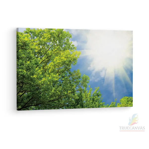 Multicolor_Spring_Green_Trees_And_Sunshine,_Wooden_Framed_Canvas_Paintings_|_For_Living_Room_|_Bedroom_|_Office_|_Gallery_|_Ready_Wall_Mount_Canvas_Wall_Art_Painting_|_Size_-_12_X_18In,_Ct0850