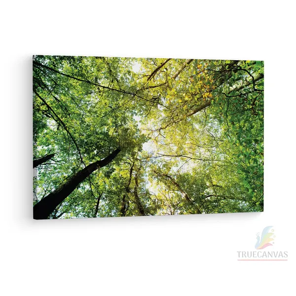 Multicolor_Abstract,_Wooden_Framed_Canvas_Paintings_|_For_Living_Room_|_Bedroom_|_Office_|_Gallery_|_Ready_Wall_Mount_Canvas_Wall_Art_Painting_|_Size_-_12_X_18In,_Ct0851