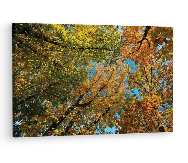Multicolor_Abstract,_Wooden_Framed_Canvas_Paintings_|_For_Living_Room_|_Bedroom_|_Office_|_Gallery_|_Ready_Wall_Mount_Canvas_Wall_Art_Painting_|_Size_-_12_X_18In,_Ct0852