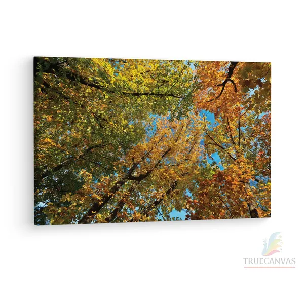 Multicolor_Abstract,_Wooden_Framed_Canvas_Paintings_|_For_Living_Room_|_Bedroom_|_Office_|_Gallery_|_Ready_Wall_Mount_Canvas_Wall_Art_Painting_|_Size_-_12_X_18In,_Ct0852