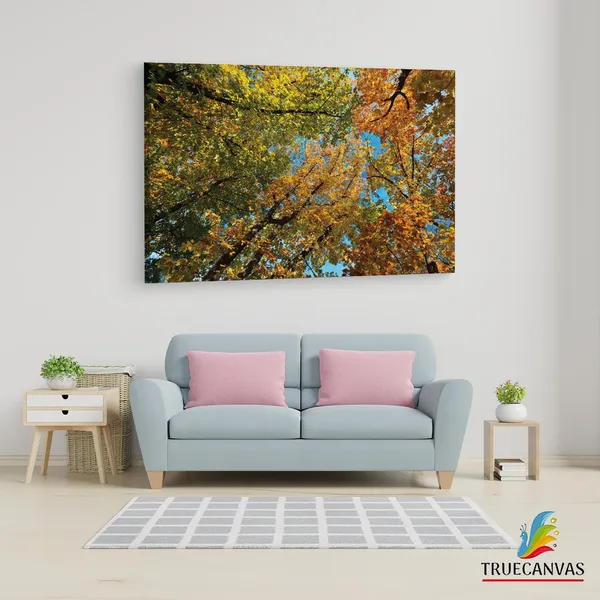 Multicolor_Abstract,_Wooden_Framed_Canvas_Paintings_|_For_Living_Room_|_Bedroom_|_Office_|_Gallery_|_Ready_Wall_Mount_Canvas_Wall_Art_Painting_|_Size_-_12_X_18In,_Ct0852