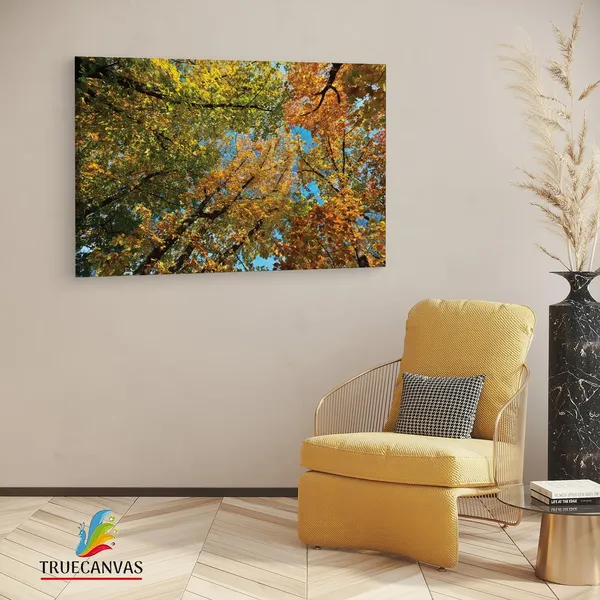Multicolor_Abstract,_Wooden_Framed_Canvas_Paintings_|_For_Living_Room_|_Bedroom_|_Office_|_Gallery_|_Ready_Wall_Mount_Canvas_Wall_Art_Painting_|_Size_-_12_X_18In,_Ct0852