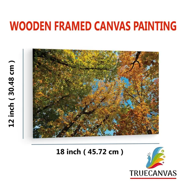 Multicolor_Abstract,_Wooden_Framed_Canvas_Paintings_|_For_Living_Room_|_Bedroom_|_Office_|_Gallery_|_Ready_Wall_Mount_Canvas_Wall_Art_Painting_|_Size_-_12_X_18In,_Ct0852