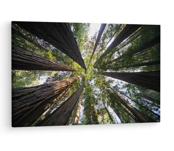 Multicolor_Abstract,_Wooden_Framed_Canvas_Paintings_|_For_Living_Room_|_Bedroom_|_Office_|_Gallery_|_Ready_Wall_Mount_Canvas_Wall_Art_Painting_|_Size_-_12_X_18In,_Ct0853