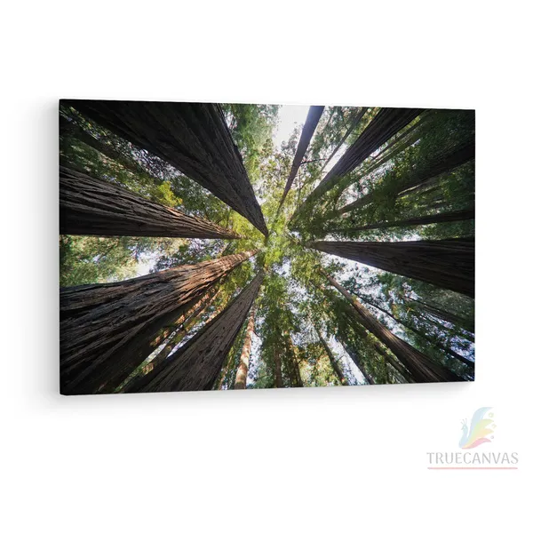 Multicolor_Abstract,_Wooden_Framed_Canvas_Paintings_|_For_Living_Room_|_Bedroom_|_Office_|_Gallery_|_Ready_Wall_Mount_Canvas_Wall_Art_Painting_|_Size_-_12_X_18In,_Ct0853