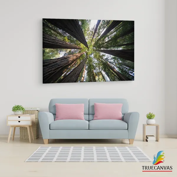 Multicolor_Abstract,_Wooden_Framed_Canvas_Paintings_|_For_Living_Room_|_Bedroom_|_Office_|_Gallery_|_Ready_Wall_Mount_Canvas_Wall_Art_Painting_|_Size_-_12_X_18In,_Ct0853