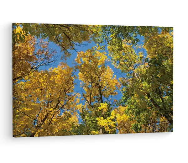 Multicolor_Autumn_Tree_Branches,_Wooden_Framed_Canvas_Paintings_|_For_Living_Room_|_Bedroom_|_Office_|_Gallery_|_Ready_Wall_Mount_Canvas_Wall_Art_Painting_|_Size_-_12_X_18In,_Ct0855