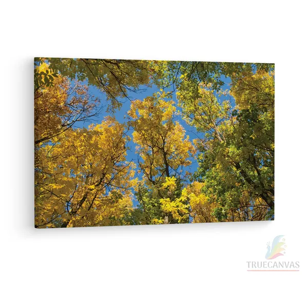 Multicolor_Autumn_Tree_Branches,_Wooden_Framed_Canvas_Paintings_|_For_Living_Room_|_Bedroom_|_Office_|_Gallery_|_Ready_Wall_Mount_Canvas_Wall_Art_Painting_|_Size_-_12_X_18In,_Ct0855