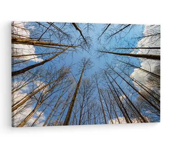 Multicolor_Tree_Branches_With_No_Leaves,_Wooden_Framed_Canvas_Paintings_|_For_Living_Room_|_Bedroom_|_Office_|_Gallery_|_Ready_Wall_Mount_Canvas_Wall_Art_Painting_|_Size_-_12_X_18In,_Ct0856