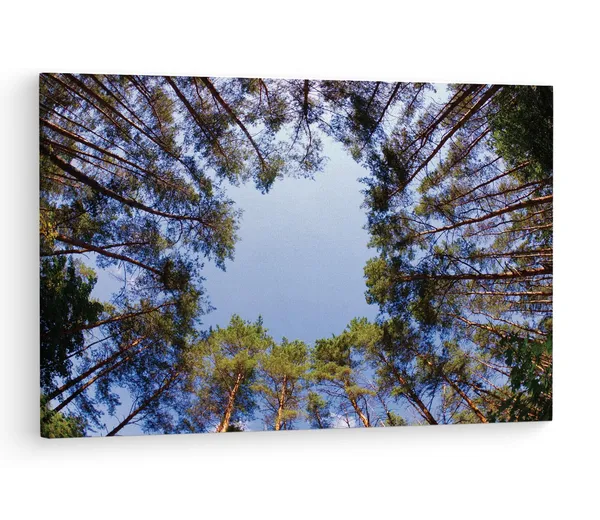 Multicolor_Abstract,_Wooden_Framed_Canvas_Paintings_|_For_Living_Room_|_Bedroom_|_Office_|_Gallery_|_Ready_Wall_Mount_Canvas_Wall_Art_Painting_|_Size_-_12_X_18In,_Ct0857