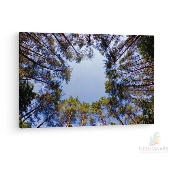 Multicolor_Abstract,_Wooden_Framed_Canvas_Paintings_|_For_Living_Room_|_Bedroom_|_Office_|_Gallery_|_Ready_Wall_Mount_Canvas_Wall_Art_Painting_|_Size_-_12_X_18In,_Ct0857