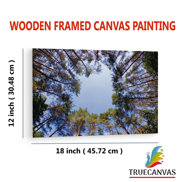 Multicolor_Abstract,_Wooden_Framed_Canvas_Paintings_|_For_Living_Room_|_Bedroom_|_Office_|_Gallery_|_Ready_Wall_Mount_Canvas_Wall_Art_Painting_|_Size_-_12_X_18In,_Ct0857