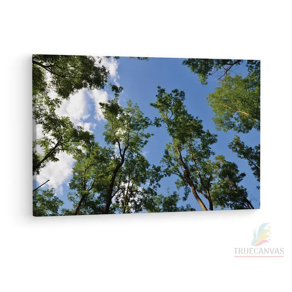 Multicolor_Green_Leaf_Tree_Under_Blue_Sky,_Wooden_Framed_Canvas_Paintings_|_For_Living_Room_|_Bedroom_|_Office_|_Gallery_|_Ready_Wall_Mount_Canvas_Wall_Art_Painting_|_Size_-_12_X_18In,_Ct0858