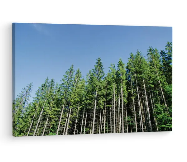 Multicolor_Pine_Tree,_Wooden_Framed_Canvas_Paintings_|_For_Living_Room_|_Bedroom_|_Office_|_Gallery_|_Ready_Wall_Mount_Canvas_Wall_Art_Painting_|_Size_-_12_X_18In,_Ct0859