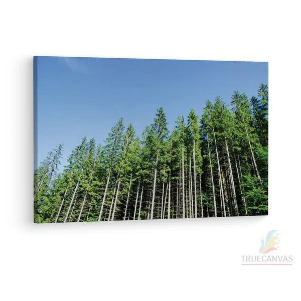 Multicolor_Pine_Tree,_Wooden_Framed_Canvas_Paintings_|_For_Living_Room_|_Bedroom_|_Office_|_Gallery_|_Ready_Wall_Mount_Canvas_Wall_Art_Painting_|_Size_-_12_X_18In,_Ct0859