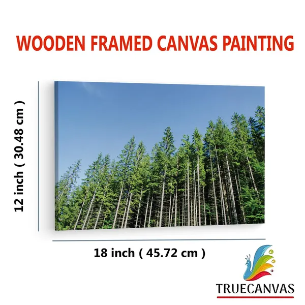 Multicolor_Pine_Tree,_Wooden_Framed_Canvas_Paintings_|_For_Living_Room_|_Bedroom_|_Office_|_Gallery_|_Ready_Wall_Mount_Canvas_Wall_Art_Painting_|_Size_-_12_X_18In,_Ct0859