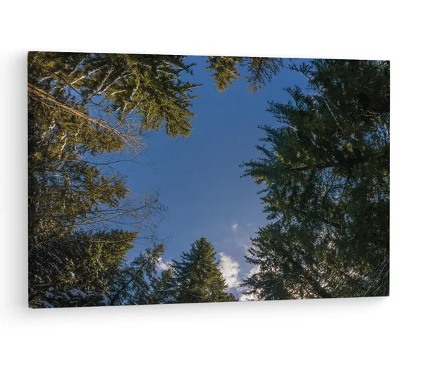 Multicolor_Grindelwald,_Trees,_Switzerland,_Wooden_Framed_Canvas_Paintings_|_For_Living_Room_|_Bedroom_|_Office_|_Gallery_|_Ready_Wall_Mount_Canvas_Wall_Art_Painting_|_Size_-_12_X_18In,_Ct0860