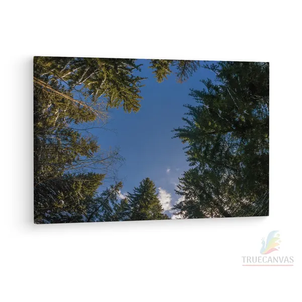 Multicolor_Grindelwald,_Trees,_Switzerland,_Wooden_Framed_Canvas_Paintings_|_For_Living_Room_|_Bedroom_|_Office_|_Gallery_|_Ready_Wall_Mount_Canvas_Wall_Art_Painting_|_Size_-_12_X_18In,_Ct0860