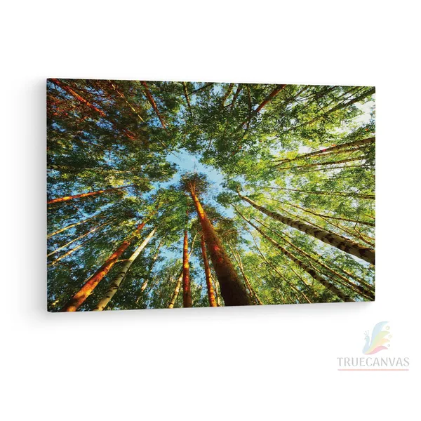 Multicolor_Trees,_Wooden_Framed_Canvas_Paintings_|_For_Living_Room_|_Bedroom_|_Office_|_Gallery_|_Ready_Wall_Mount_Canvas_Wall_Art_Painting_|_Size_-_12_X_18In,_Ct0861