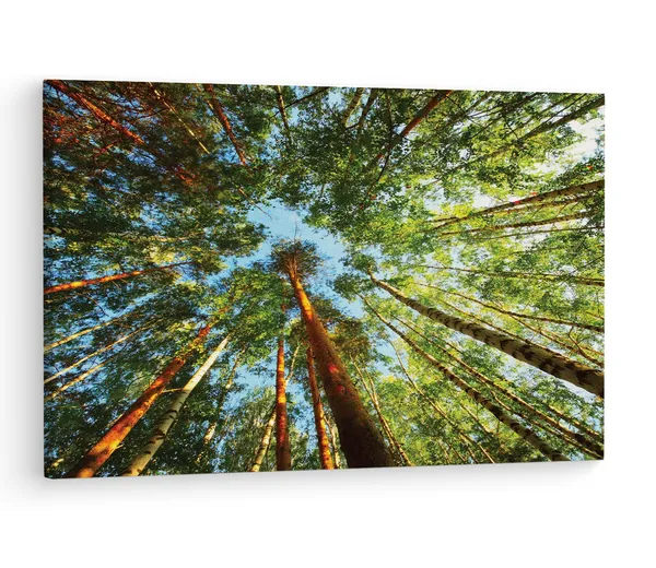 Multicolor_Trees,_Wooden_Framed_Canvas_Paintings_|_For_Living_Room_|_Bedroom_|_Office_|_Gallery_|_Ready_Wall_Mount_Canvas_Wall_Art_Painting_|_Size_-_12_X_18In,_Ct0861