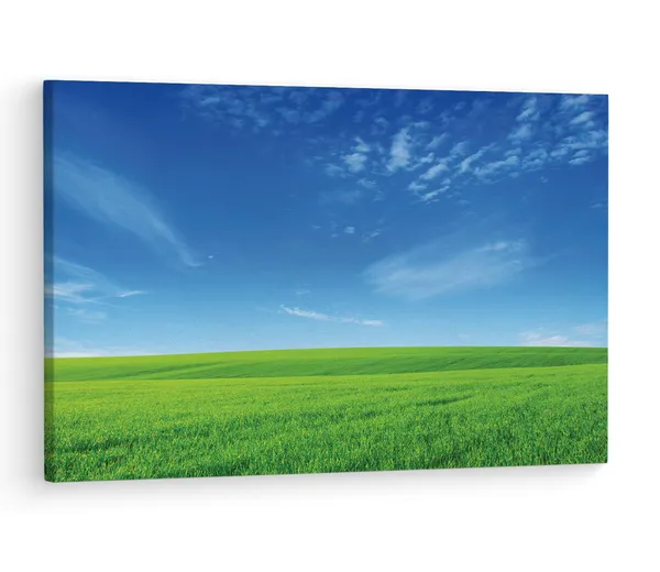 Multicolor_Abstract,_Wooden_Framed_Canvas_Paintings_|_For_Living_Room_|_Bedroom_|_Office_|_Gallery_|_Ready_Wall_Mount_Canvas_Wall_Art_Painting_|_Size_-_12_X_18In,_Ct0870