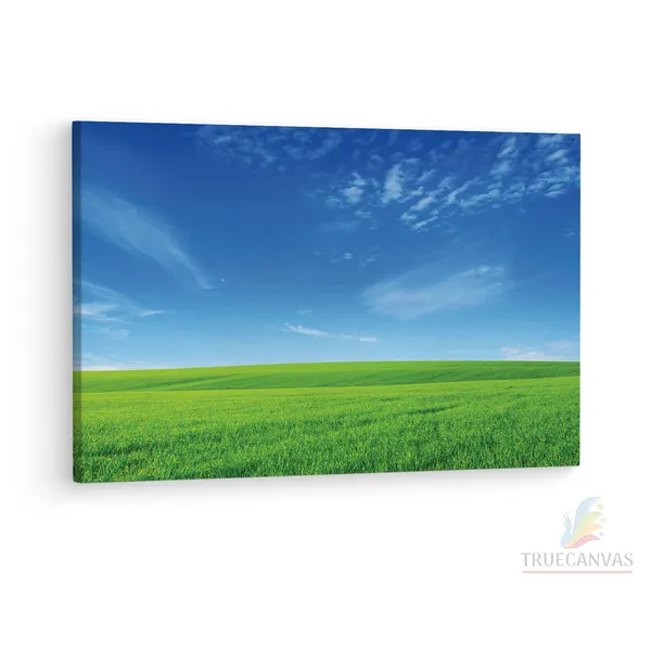 Multicolor_Abstract,_Wooden_Framed_Canvas_Paintings_|_For_Living_Room_|_Bedroom_|_Office_|_Gallery_|_Ready_Wall_Mount_Canvas_Wall_Art_Painting_|_Size_-_12_X_18In,_Ct0870