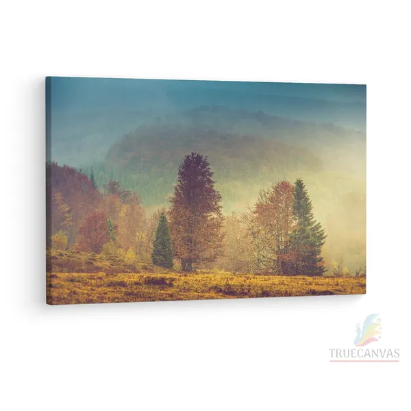 Multicolor_Nature_|_Forest_Autumn,_Wooden_Framed_Canvas_Paintings_|_For_Living_Room_|_Bedroom_|_Office_|_Gallery_|_Ready_Wall_Mount_Canvas_Wall_Art_Painting_|_Size_-_12_X_18In,_Ct0893