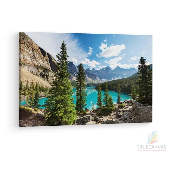 Multicolor_Abstract,_Wooden_Framed_Canvas_Paintings_|_For_Living_Room_|_Bedroom_|_Office_|_Gallery_|_Ready_Wall_Mount_Canvas_Wall_Art_Painting_|_Size_-_12_X_18In,_Ct0906
