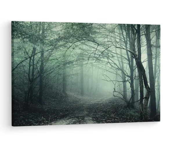 Multicolor_Eerie_|_Forest_Mist_Wall_Mural,_Wooden_Framed_Canvas_Paintings_|_For_Living_Room_|_Bedroom_|_Office_|_Gallery_|_Ready_Wall_Mount_Canvas_Wall_Art_Painting_|_Size_-_12_X_18In,_Ct0908