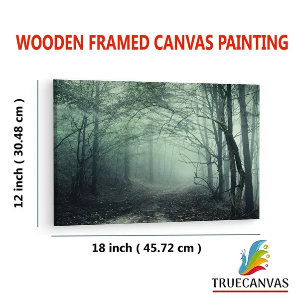 Multicolor_Eerie_|_Forest_Mist_Wall_Mural,_Wooden_Framed_Canvas_Paintings_|_For_Living_Room_|_Bedroom_|_Office_|_Gallery_|_Ready_Wall_Mount_Canvas_Wall_Art_Painting_|_Size_-_12_X_18In,_Ct0908