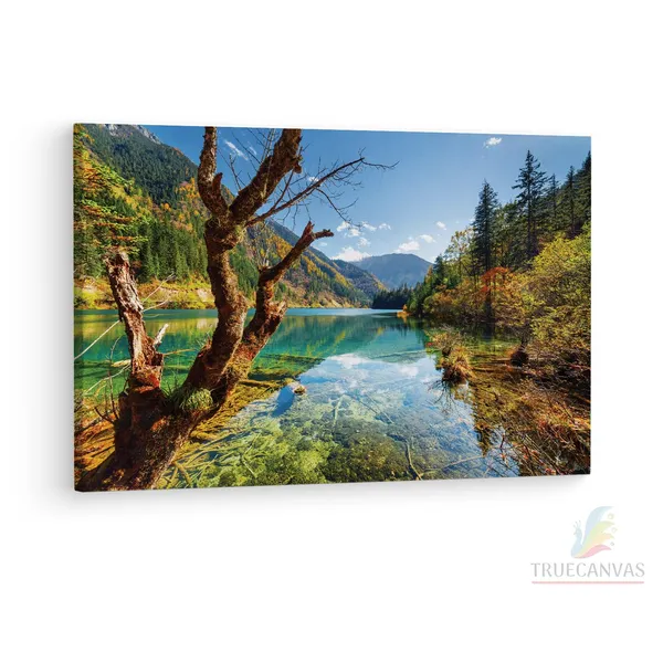 Multicolor_Arrow_Bamboo_Lake_Fall,_Wooden_Framed_Canvas_Paintings_|_For_Living_Room_|_Bedroom_|_Office_|_Gallery_|_Ready_Wall_Mount_Canvas_Wall_Art_Painting_|_Size_-_12_X_18In,_Ct0915