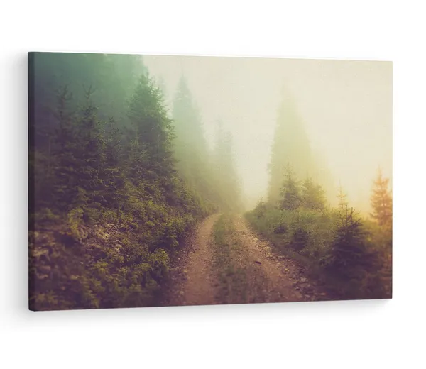 Multicolor_A_Pathway_In_The_|_Forest,_Wooden_Framed_Canvas_Paintings_|_For_Living_Room_|_Bedroom_|_Office_|_Gallery_|_Ready_Wall_Mount_Canvas_Wall_Art_Painting_|_Size_-_12_X_18In,_Ct0920