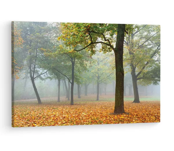 Multicolor_Custom_Mural,_Wooden_Framed_Canvas_Paintings_|_For_Living_Room_|_Bedroom_|_Office_|_Gallery_|_Ready_Wall_Mount_Canvas_Wall_Art_Painting_|_Size_-_12_X_18In,_Ct0924