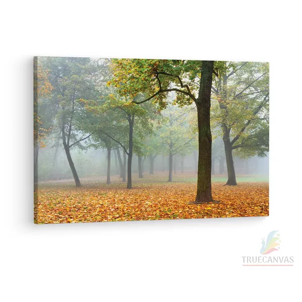 Multicolor_Custom_Mural,_Wooden_Framed_Canvas_Paintings_|_For_Living_Room_|_Bedroom_|_Office_|_Gallery_|_Ready_Wall_Mount_Canvas_Wall_Art_Painting_|_Size_-_12_X_18In,_Ct0924
