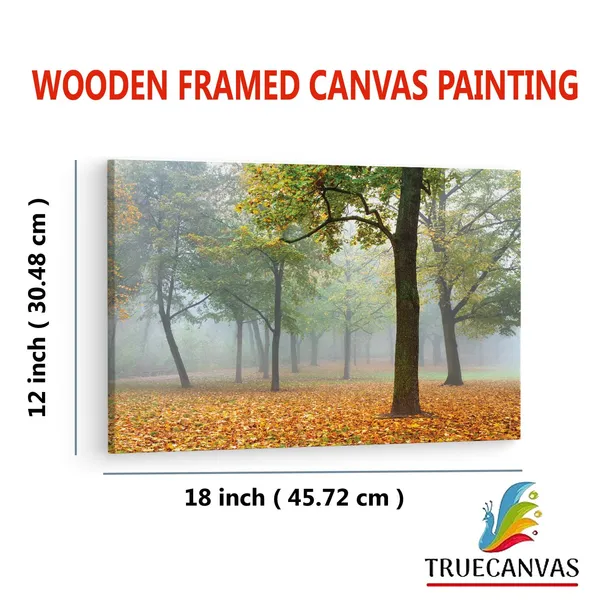 Multicolor_Custom_Mural,_Wooden_Framed_Canvas_Paintings_|_For_Living_Room_|_Bedroom_|_Office_|_Gallery_|_Ready_Wall_Mount_Canvas_Wall_Art_Painting_|_Size_-_12_X_18In,_Ct0924